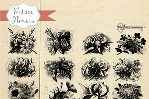 Vintage Flower Engravings