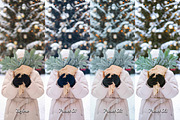 30 Snow Gift Lightroom Bundle, a Preset Add-On by 3Motional (Thumbnail 5 of 11)