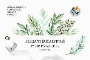 Elegant eucalyptus & fir branches