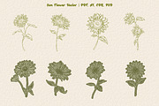 Sun Flower Vector Line, a Decorative Illustration by Ben studio (Thumbnail 1 of 5)