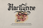 Rexstorm | Blackletter Typeface, a Blackletter Font by Denustudios (Thumbnail 9 of 12)