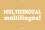 TAN - SONGBIRD, a Font by TanType (Thumbnail 11 of 16)