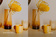 Kodak Ektar 100 III, a Preset Add-On by colorituals (Thumbnail 4 of 8)