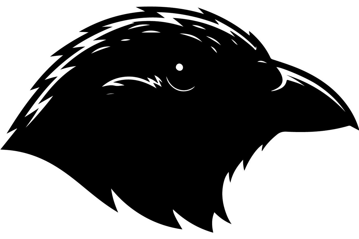 Bird Silhouette Vector Mega Bundle, an Animal Illustration by Designer_Momina (Photo 2 of 21)