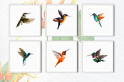 Watercolor Tropical plant & Bird, an Object Graphic by FineArt (Thumbnail 8 of 22)