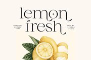 Marginal - A Modern Font, a Serif Font by zeenesia (Thumbnail 6 of 18)