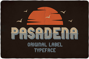 Pasadena typeface, a Symbol Font by VozzyStock
