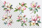 Watercolor Magnolia Flower Clipart B, an Illustration by SVGArt (Thumbnail 2 of 9)