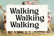 Meginer Nineties - Modern Serif, a Serif Font by Comactype Foundry (Thumbnail 7 of 22)