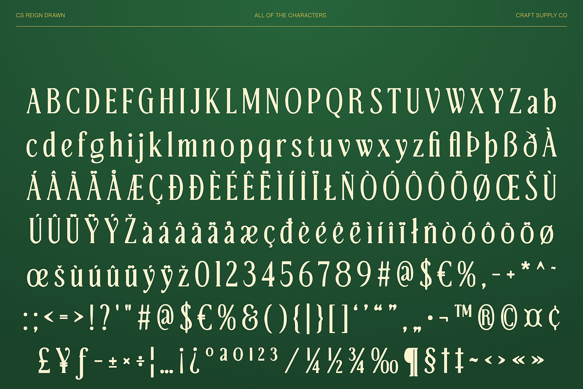 CS Reign Drawn, a Serif Font by Craft Supply Co. (Photo 8 of 8)