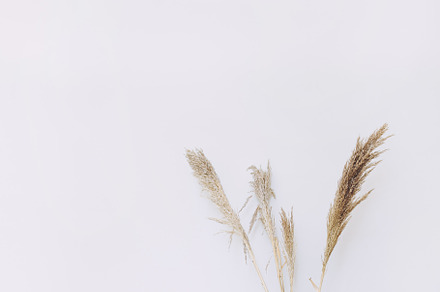 Wall Mockup in Earthy Neutrals Tones, an Abstract Photo by Dvoevnore photos