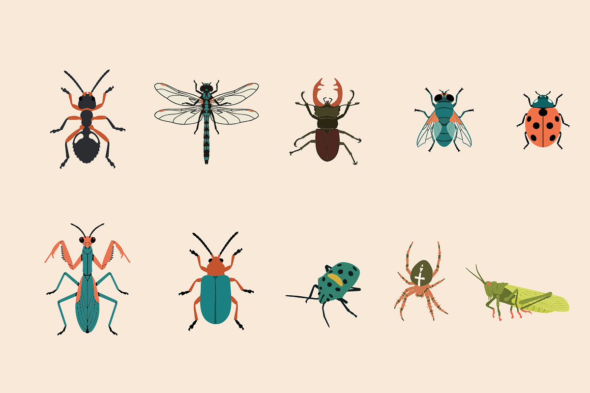 Collection of Insects, an Animal Illustration by By_Pedram (Photo 4 of 4)