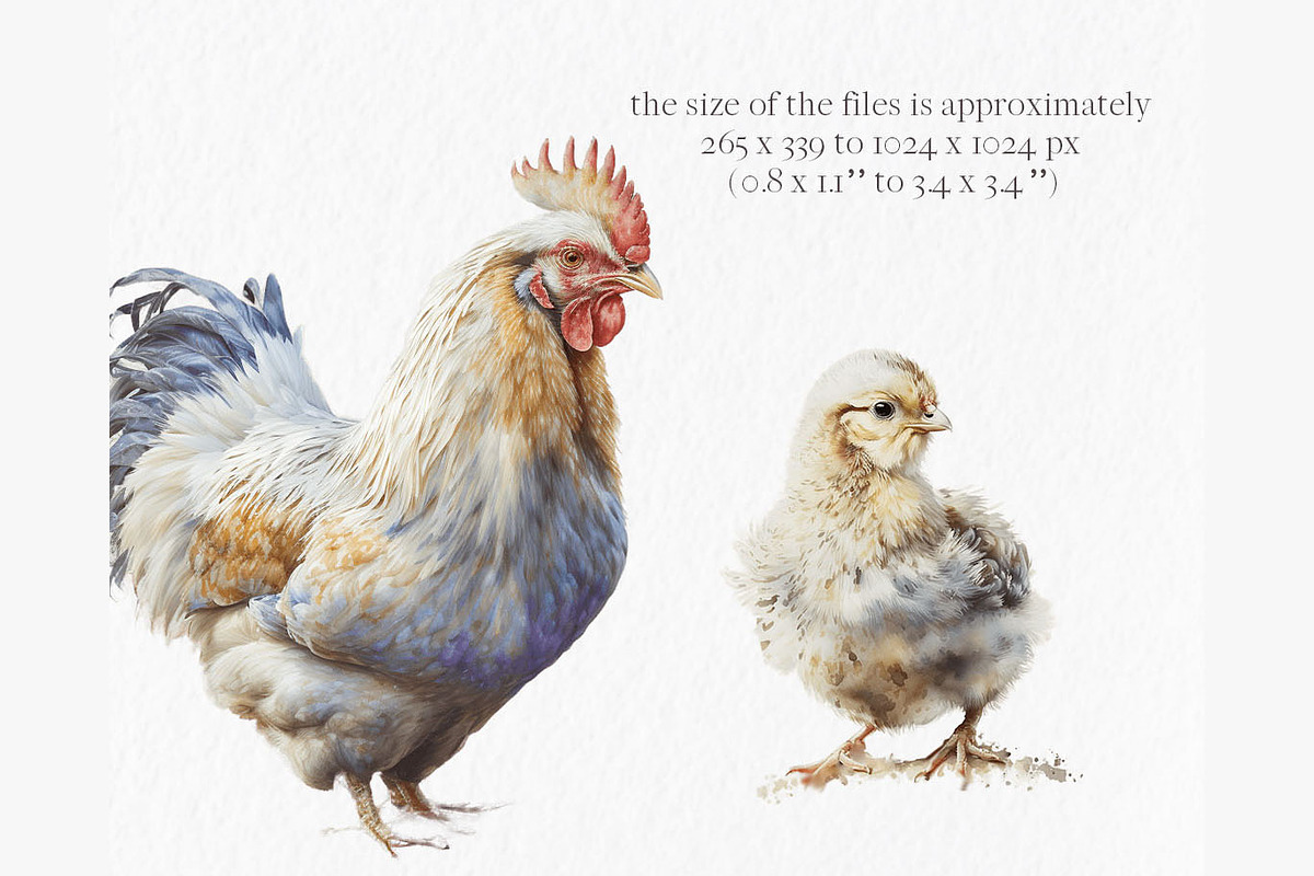 Village chickens Watercolor Clipart, an Object Graphic by MyLittleMeow (Photo 2 of 7)
