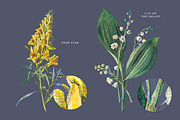 Vintage Flowers Vol.03 - Extra Large, an Illustration by Greta Ivy (Thumbnail 15 of 15)