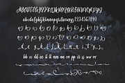 BrushWork TypeFace, a Script Font by alphadesign (Thumbnail 6 of 7)