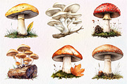 Botanical Autumn Mushrooms Clipart, an Illustration by Dream Creation (Thumbnail 5 of 7)