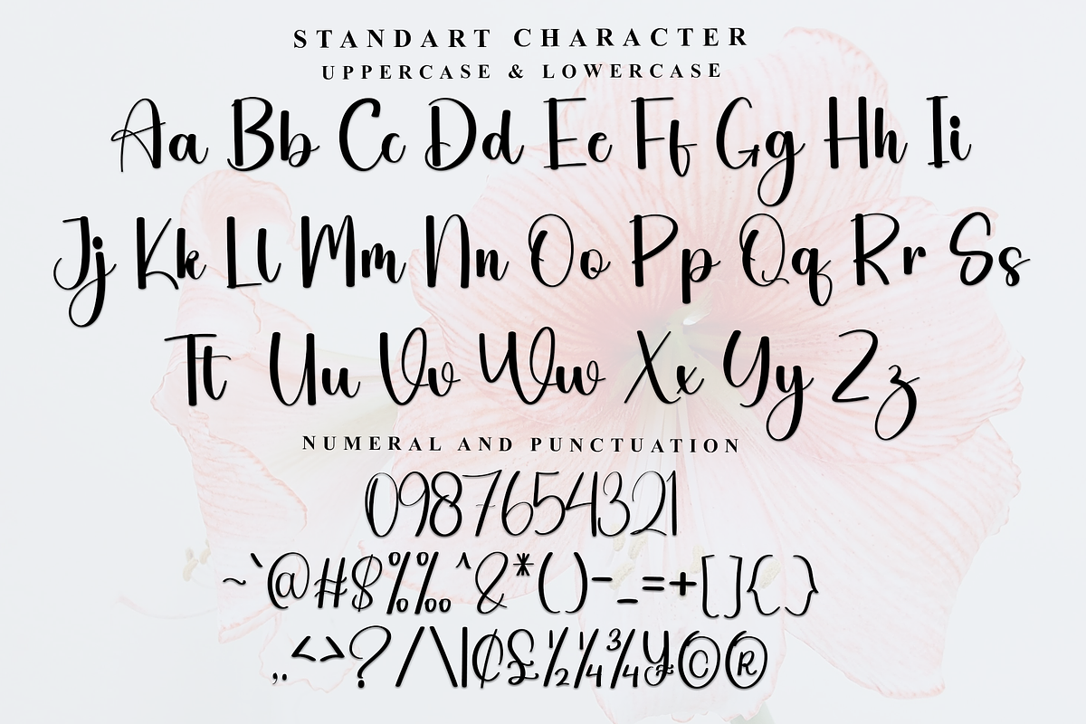 Brilliant Beauty, a Handwritten Font by InermediaSTUDIO (Photo 5 of 7)
