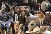 COLLAGE CREATOR «THE BEAUTY», an Object Graphic by WildStrawberry Magic (Thumbnail 13 of 30)