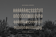 Archives Classic | Slab Serif Font, a Slab Serif Font by gracetype_studio (Thumbnail 11 of 12)