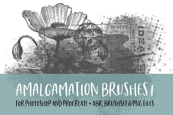 Amalgamation 1 Brush For Pspro