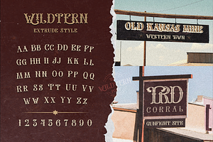 The Wildtern Typeface