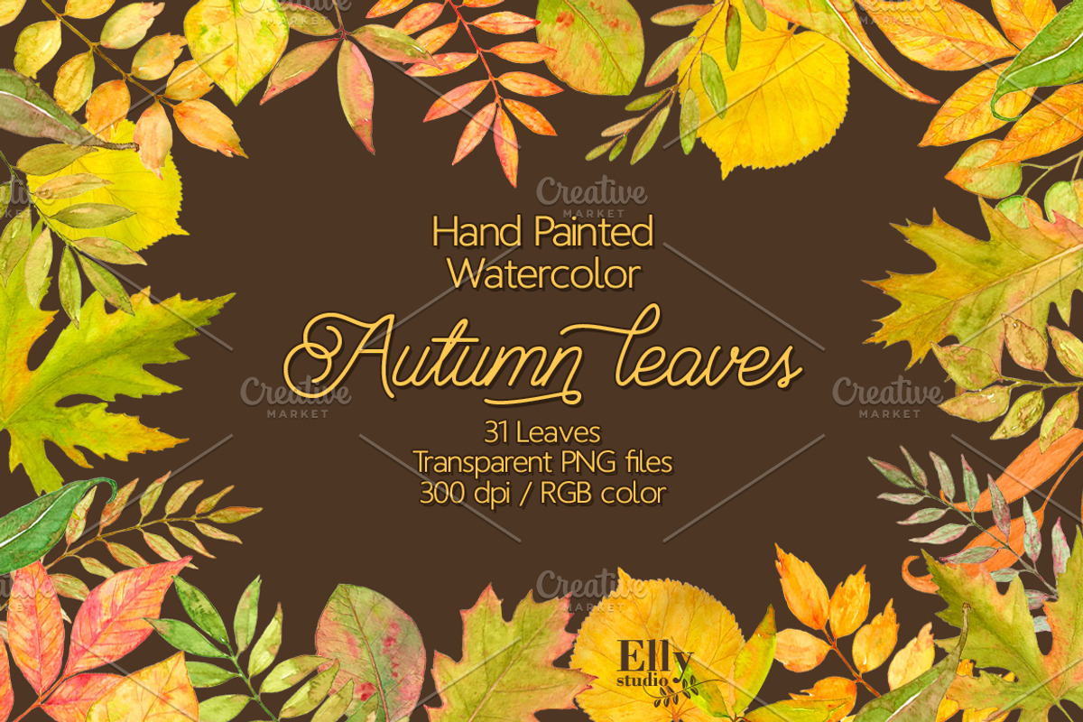Watercolor autumn leaves clip art, an Illustration by Elly Studio (Photo 1 of 3)