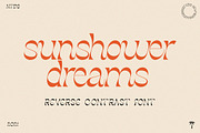 The Retro Font Collection, a Sans Serif Font by Tropical Type (Thumbnail 15 of 49)
