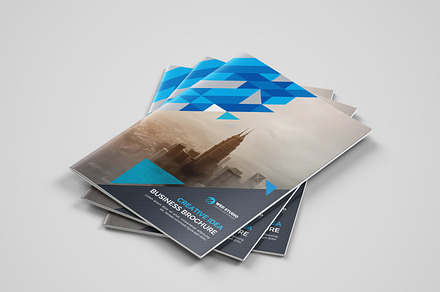 Bi-Fold_Business Brochure