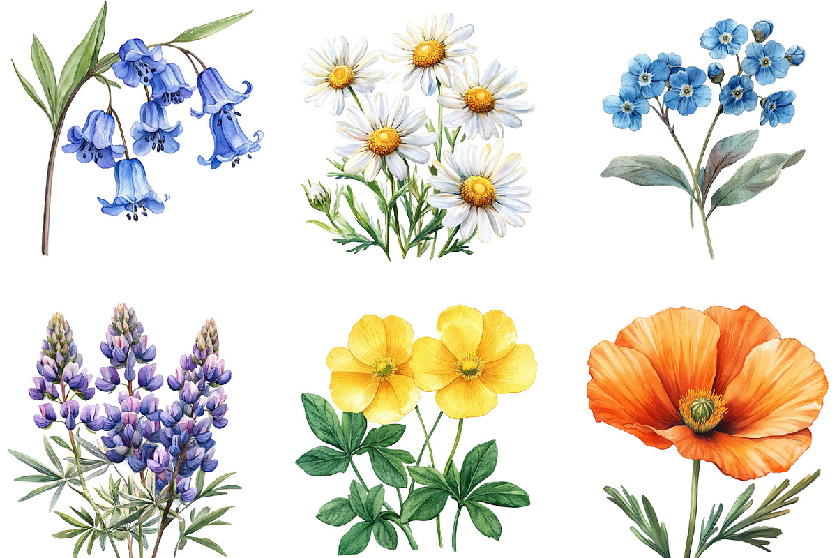 Wildflower Clipart Bundle, an Illustration by Designking (Photo 3 of 5)