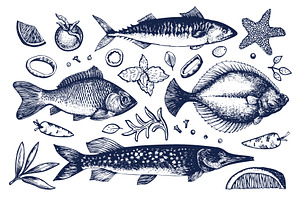 Seafood Vector Collection