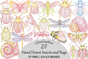 Hand Drawn Insects and Bugs Clipart, a Seasonal Illustration by CitraGraphics