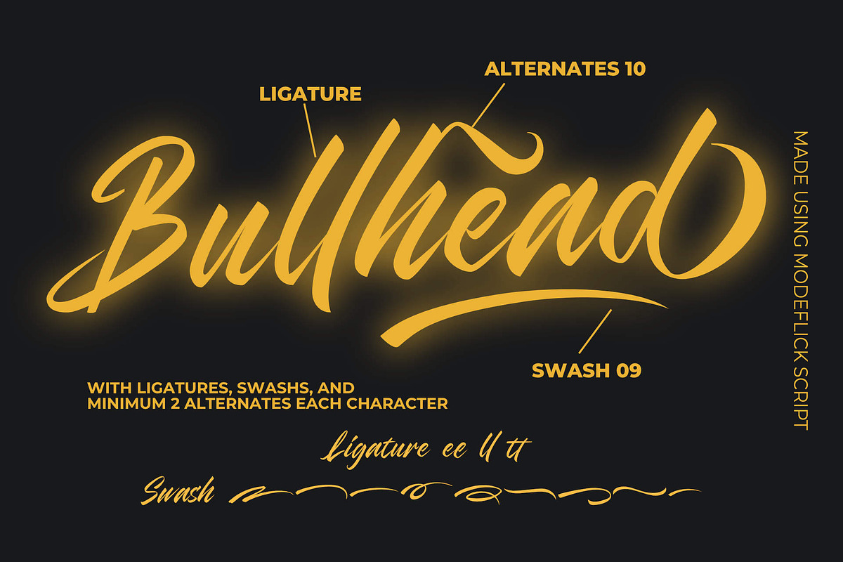 Modeflick Script, a Script Font by Astageni (Photo 9 of 9)