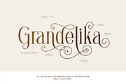 Brilliantly - A Stylish Serif, a Serif Font by Letterhend Studio (Thumbnail 3 of 12)