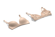 Women's Beige Pink Bra 3D Model, an Object 3D Model by rebrandy (Thumbnail 1 of 8)