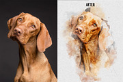 Pet Watercolor Art Photoshop Effect, an Action Add-On by Shovajit (Thumbnail 2 of 8)
