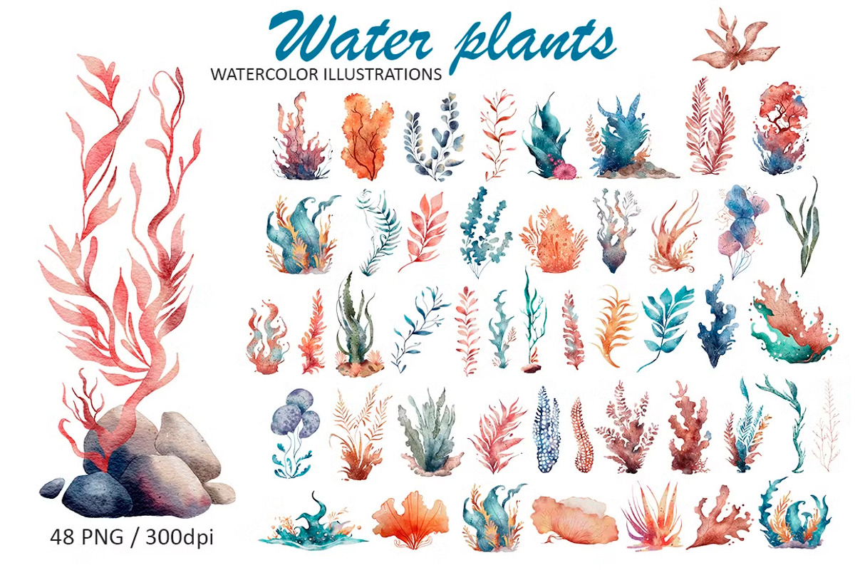OCEAN BUNDLE, an Animal Illustration by Evgeniia (Photo 14 of 16)