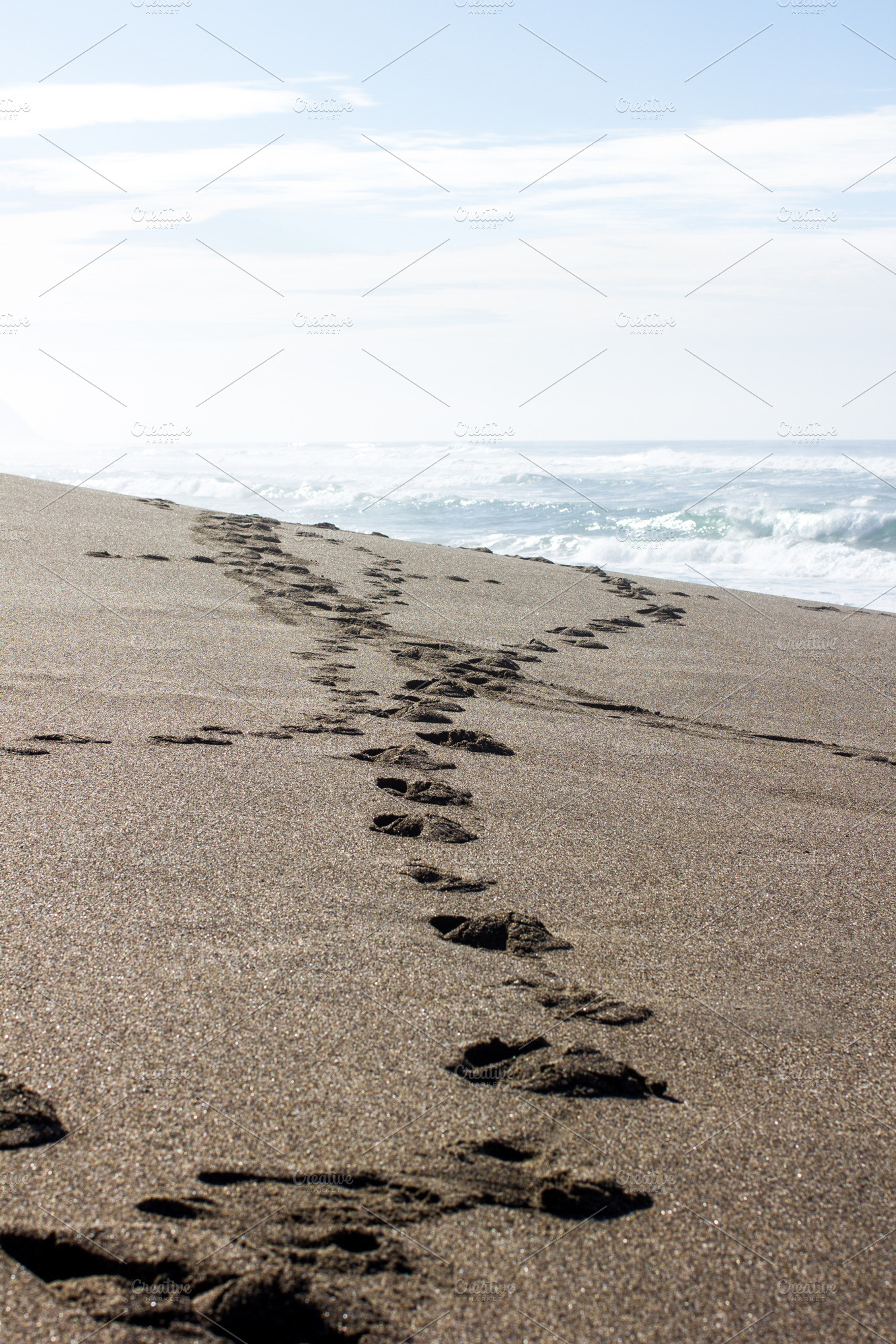 Tracks in the sand featuring beach, sand, and surf, a Nature Photo by Marsha Abrahams