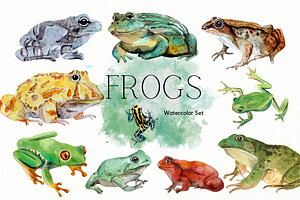 Frogs Watercolour Set