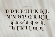 Vinaly Serif Font, a Serif Font by Idea Studio (Thumbnail 10 of 11)