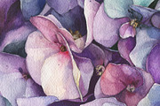 Watercolor violet Hydrangea painting, an Illustration by Khrys.art (Thumbnail 4 of 8)