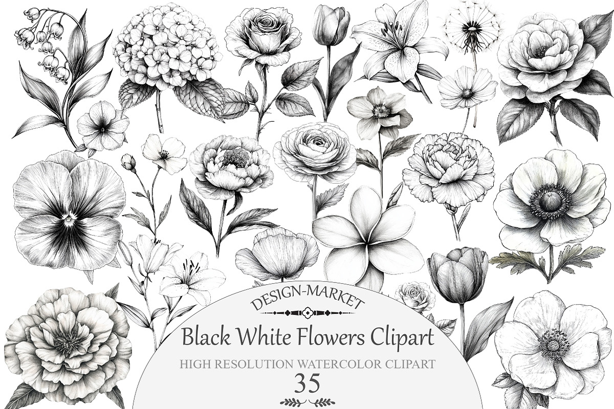 Watercolor Black White Flowers Clipa, an Illustration by Design Market (Photo 1 of 4)