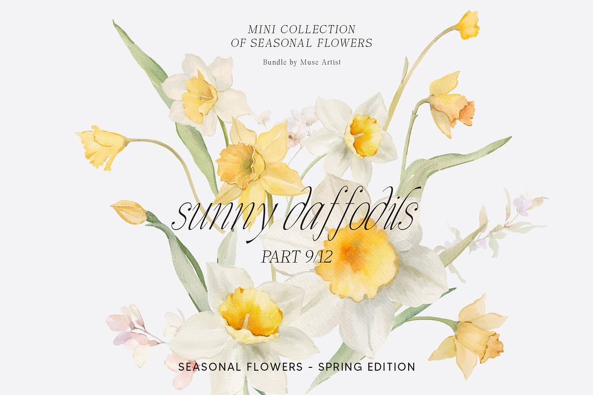SPRING BOX Watercolor Bundle 400+, a Decorative Illustration by Muse Artist (Photo 68 of 99)