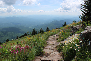 Breathtaking mountain view along a hiking trail surrounded by wildflowers and s, a Nature Photo by AlyaAnd