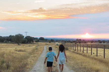 Two kids with holding hands walking in a countryside at sunset