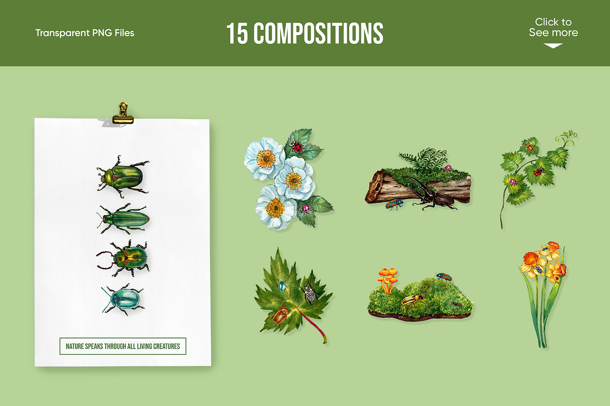 Jewel Beetle Set – Watercolor Nature, an Animal Illustration by CreativeValuation (Photo 3 of 11)