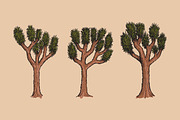 Hand Drawn Desert Landscape Elements, an Illustration by Artolabs (Thumbnail 15 of 19)