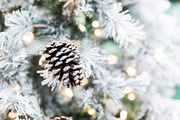 White Christmas tree photo BUNDLE, a Holiday Photo by TruElegance Photos (Thumbnail 4 of 5)
