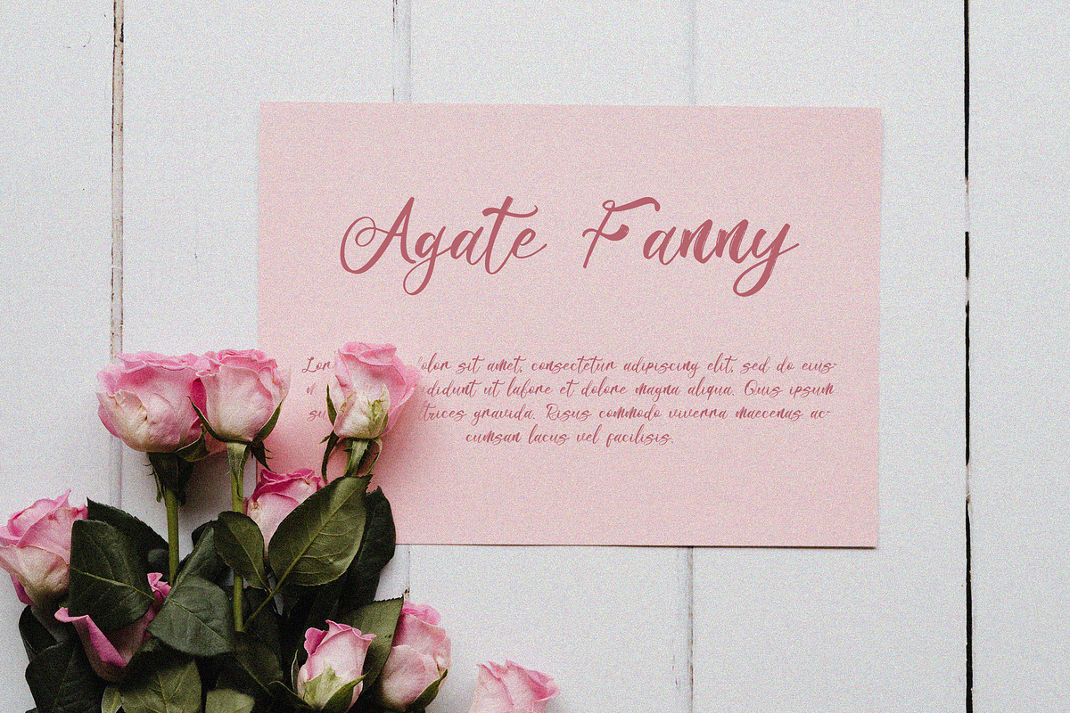 Mellonikha Brush Script Font, a Script Font by NTC Graphic (Photo 2 of 9)