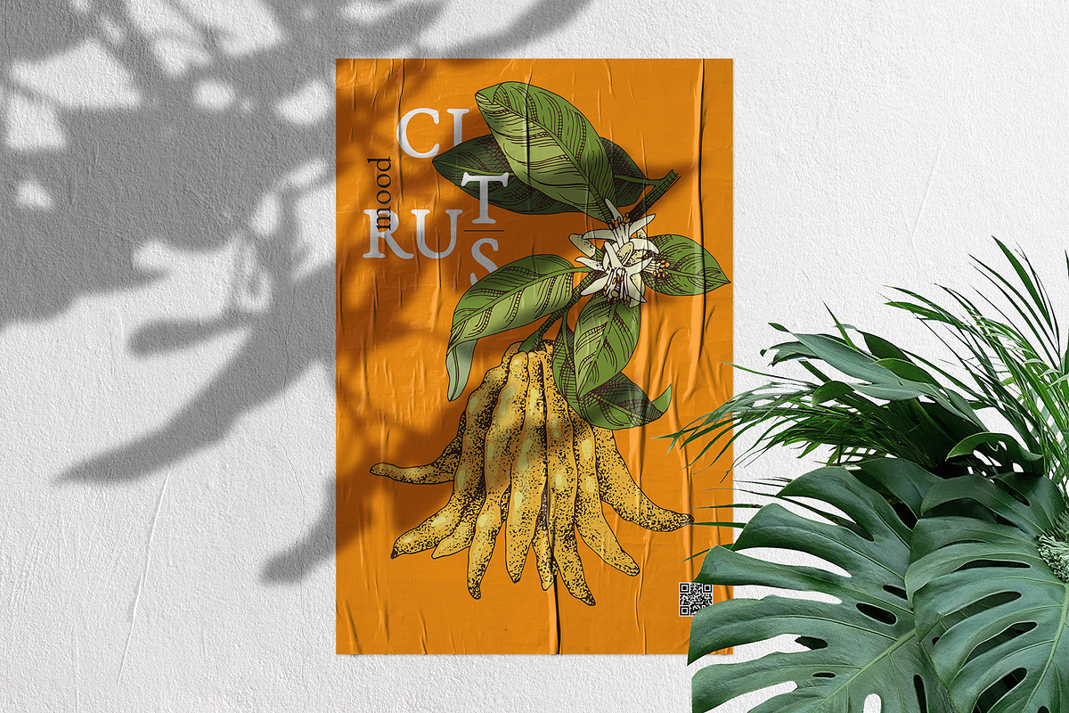 Fresh & citrus, a Food Illustration by handsketched (Photo 10 of 11)