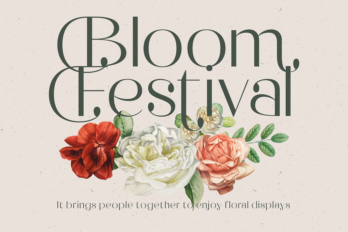 Raslera Modern Serif Display, a Sans Serif Font by timelesstype.co (Photo 3 of 20)